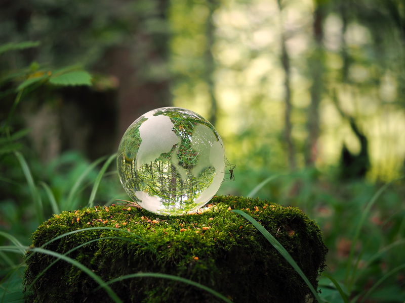 protection-environnement-globe