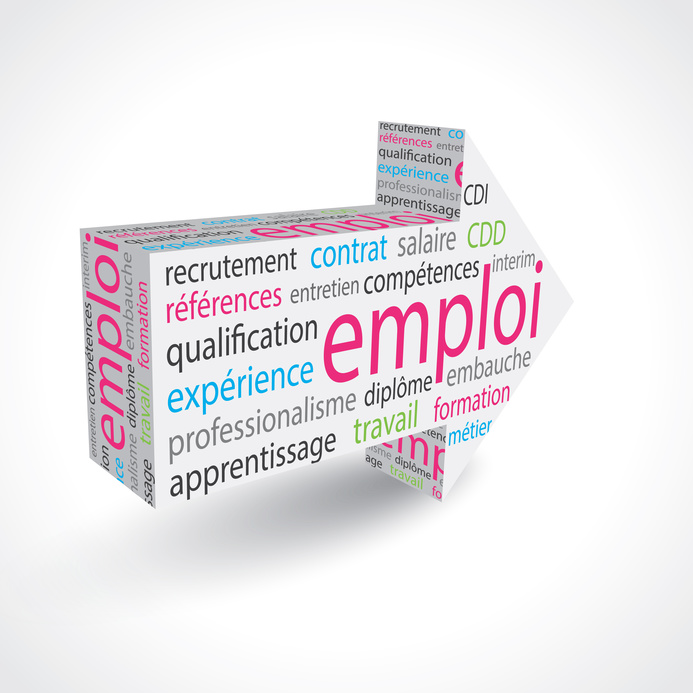 fleche-emploi