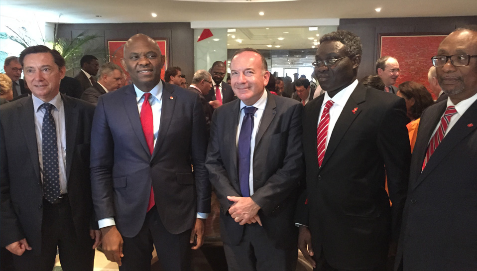 delegation-nigeria-2015