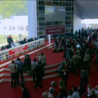 video-pleniere-couleur-b20