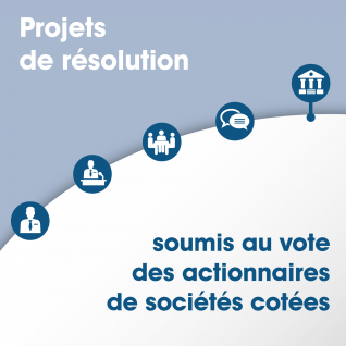 publi-projet-resolution-vote-actionnaires-2016