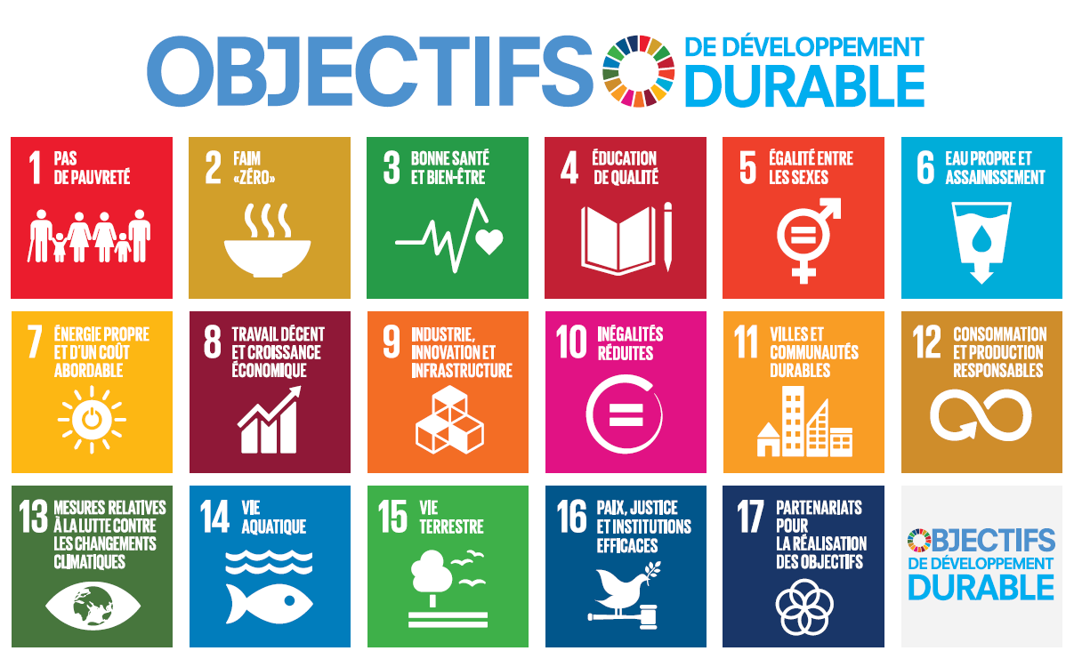 Les Objectifs de Développement Durable (ODD) : Quelles implications pour les entreprises ?