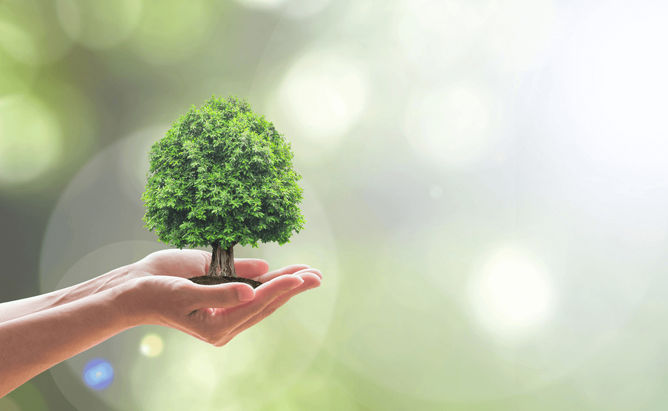 act4nature: les entreprises s’engagent en faveur de la biodiversité