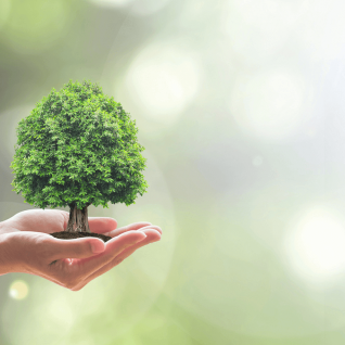 act4nature: les entreprises s’engagent en faveur de la biodiversité