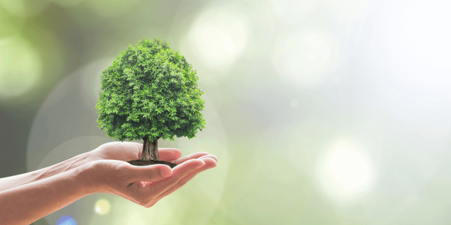 act4nature: les entreprises s’engagent en faveur de la biodiversité