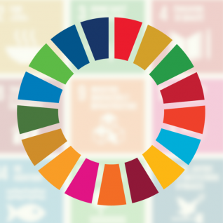 Les Objectifs de Développement Durable (ODD) : Quelles implications pour les entreprises ?