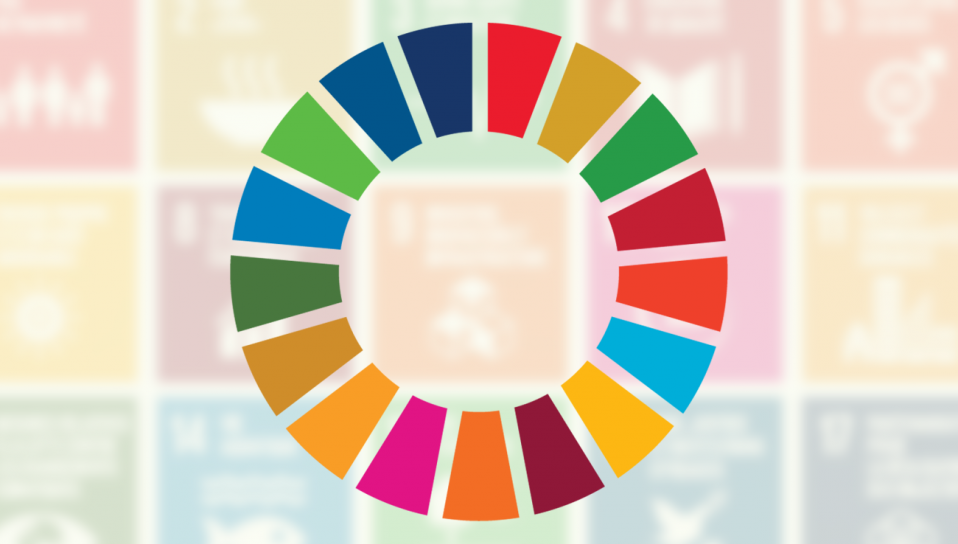 Les Objectifs de Développement Durable (ODD) : Quelles implications pour les entreprises ?