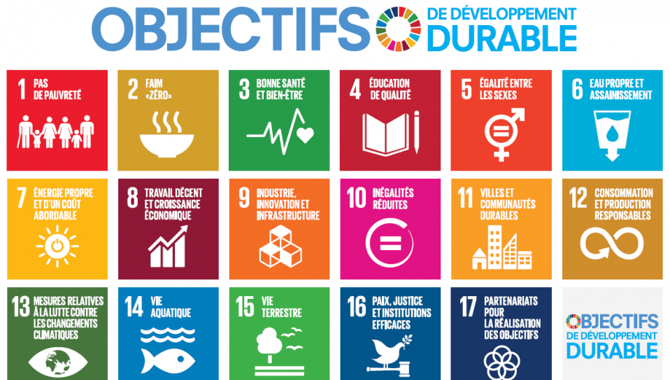 Les Objectifs de Développement Durable (ODD) : Quelles implications pour les entreprises ?