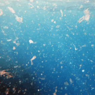 Vers une interdiction partielle des micro plastiques ?